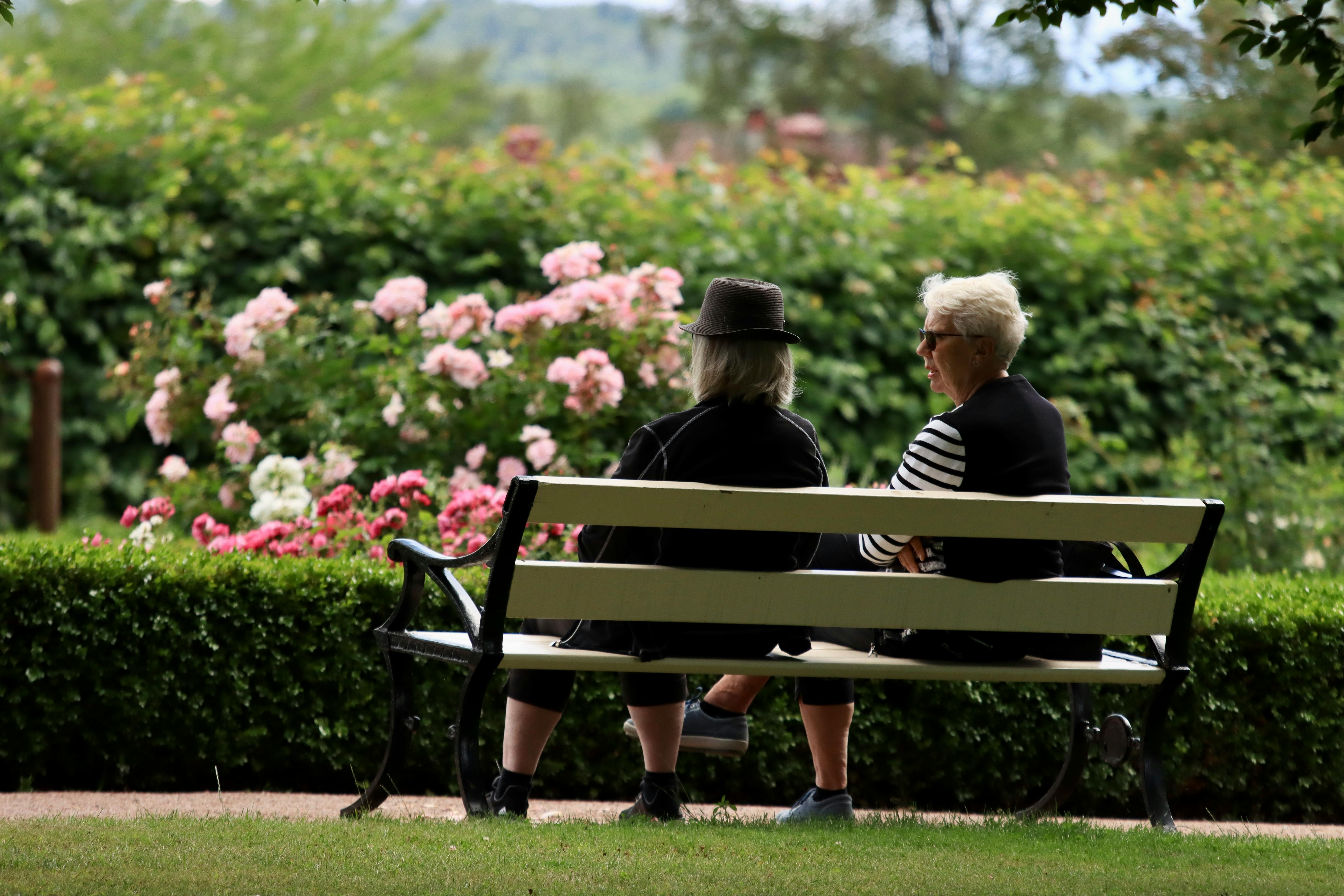 Two people sitting on a bench in a garden