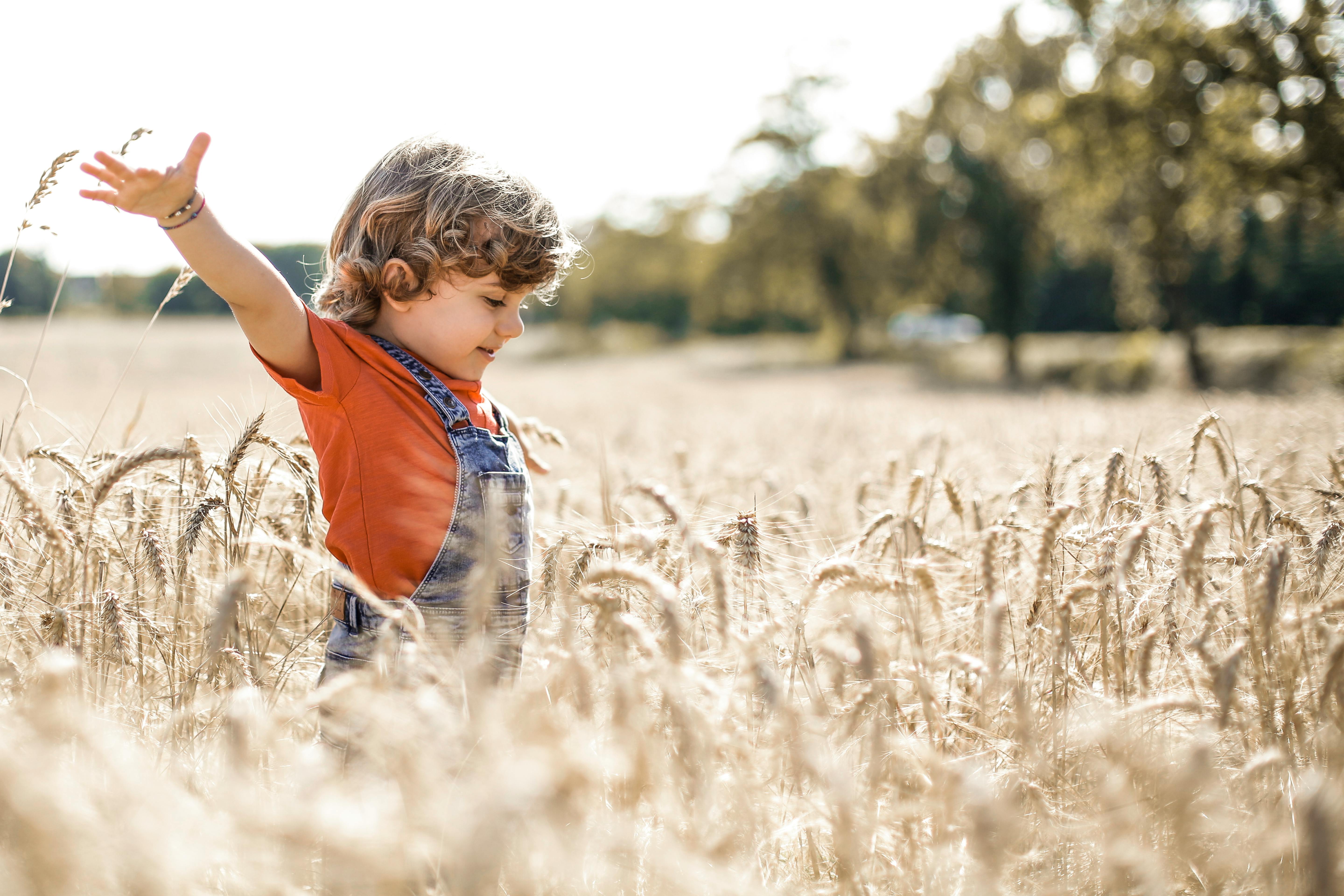 Module 2: Overview of Child Development and Exceptionalities