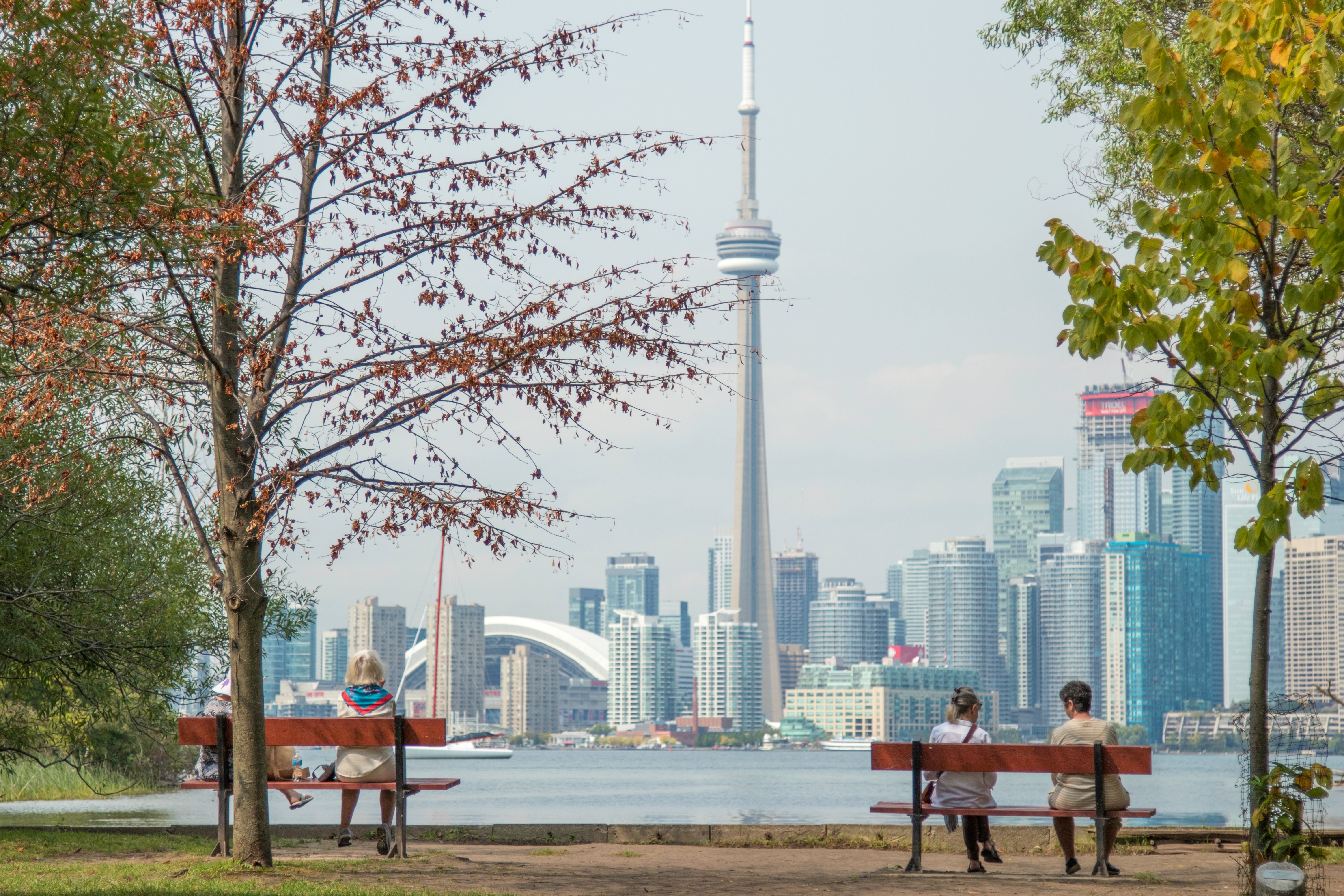Several people sitting on park benches facing the Toronto skyline