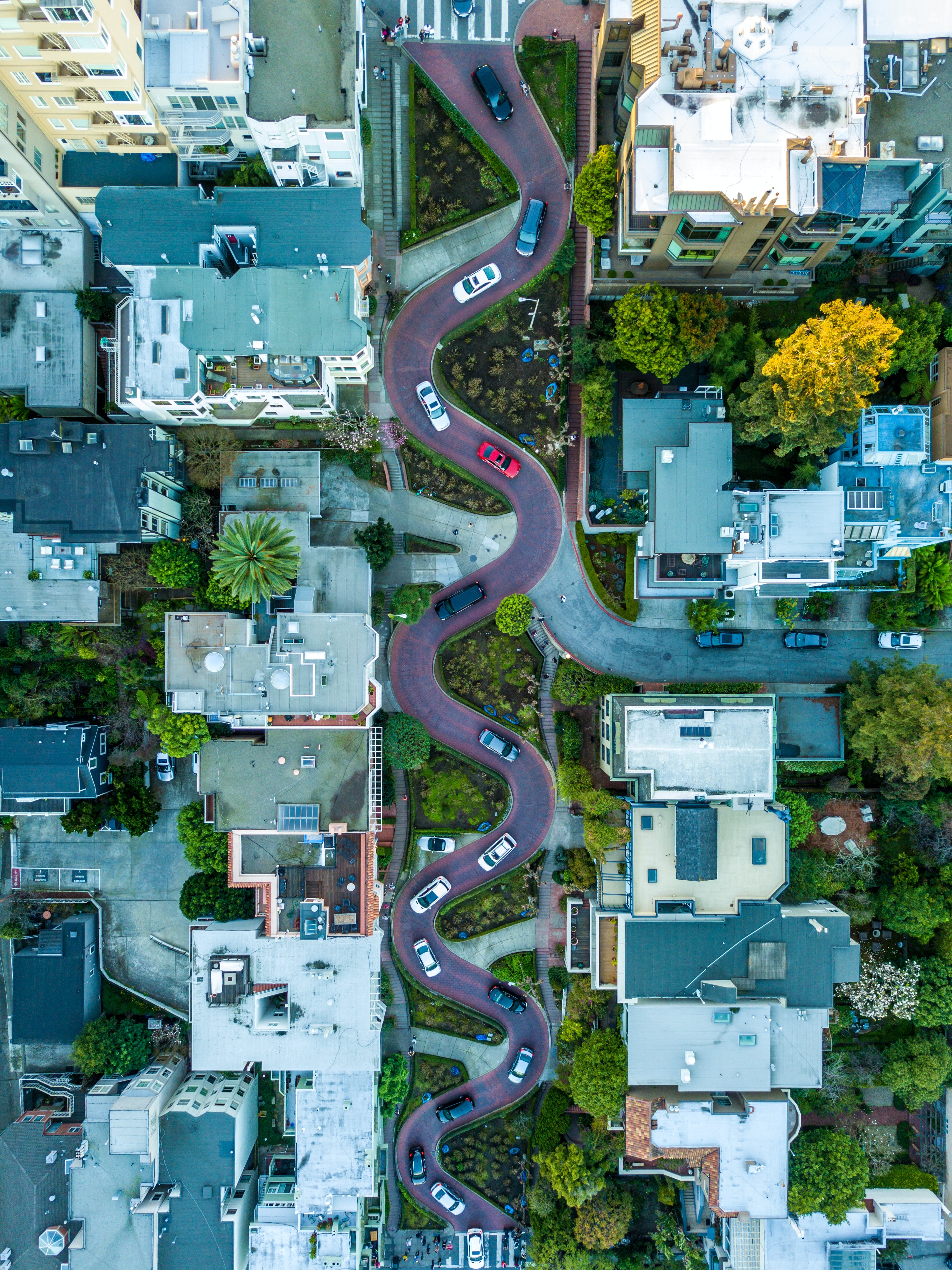 A winding road going through a neighborhood