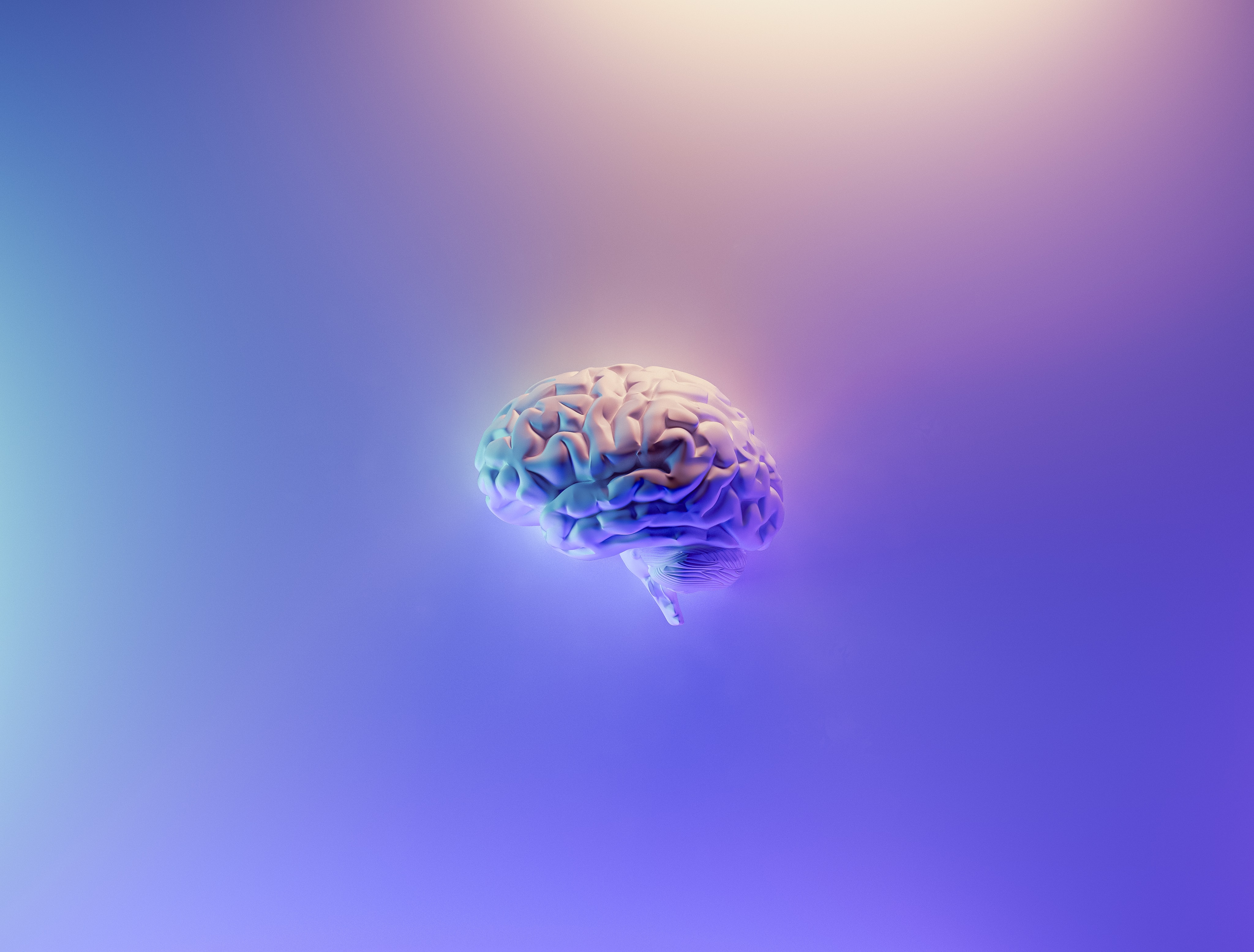 Digital image of a brain with a multicolor background