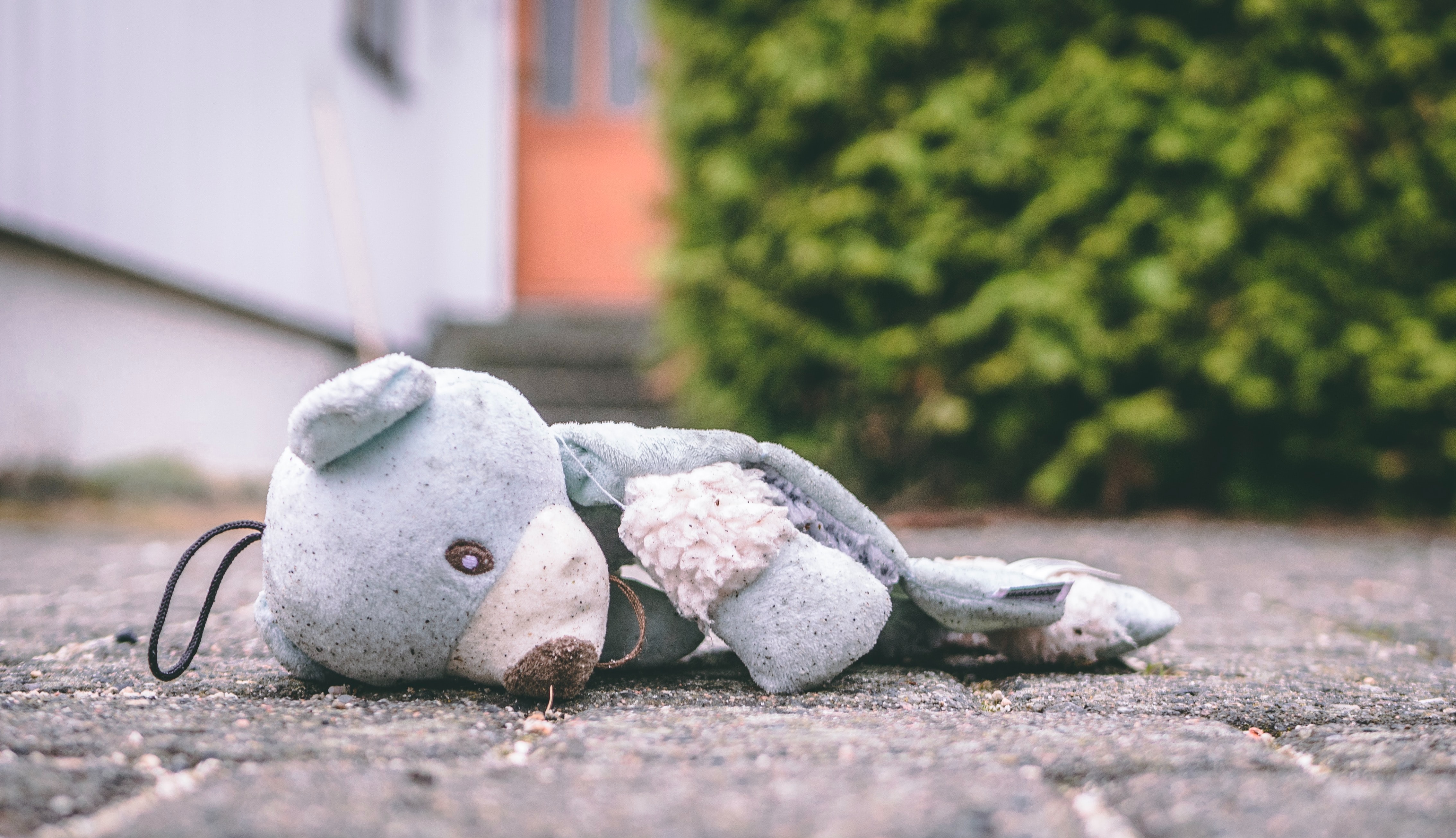 A teddy bear with the stuffing coming out of an arm