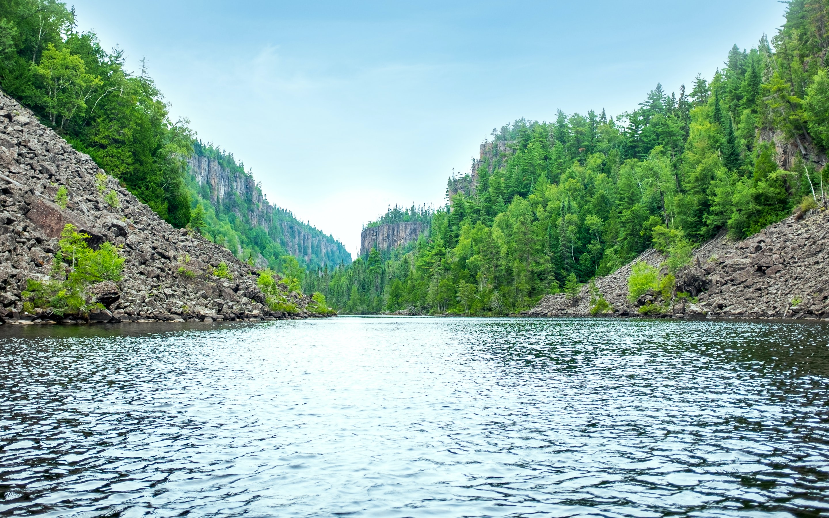 A river running through a mountain forest